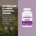 Bandini Mariendistel Artichocke Landaway Complex - 150 Vegan Capsules | 80% Silymarin | Liver Support & Fat Metabolism | GMO-Free & Additive-Free - Buy Online on GoSupps.com