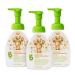Foaming Pump Hand Sanitizer, Alcohol Free, Mandarin, Kills 99.9% of Germs, 8.45oz- Babyganics Pack of 3