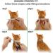 Dewel 33cm Adjustable Waterproof Tick Collar for Cats | Flea & Tick Prevention Collar - Buy Online on GoSupps.com