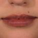 Palladio Lip Stain Hydrating and Waterproof Formula Matte Color Look Longlasting All Day Wear Lip Color Smudge Proof Natural Finish Precise Chisel Tip Marker Nude brown 1 count (Pack of 1) - Buy Online on GoSupps.com