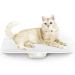 Mindpet-Med Digital animal scale baby scale max. 220 lbs precision 0.02 lbs white everything in one without disassembly design exact weighing of kittens puppies rabbits or infants yellow