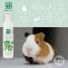 Menforsan - Aloe Vera foam shampoo - Buy Online on GoSupps.com