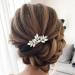 Catery Crystal Bride Wedding Hair Comb Hair Accessories with Rhinestone Bridal Side Combs for Women and Girls (A-SILVER)