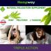 Hemp Sleep Gummies Triple Action | Supports Healthy Sleep with Melatonin, Hemp & L-Theanine | Made in USA | 60 Organic Gummies - 10mg L-Theanine, 5mg Melatonin, 200mg Hemp - Buy Online on GoSupps.com