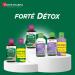 Fort Pharma - Fort Detox 5 Organs | Artichoke Birch and Burdock Intestine Supplement - Global Detox Liver Detox Elimination Purifies the Body & Skin 500 ml 10 days - Buy Online on GoSupps.com