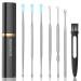 Ear Pick Ear Wax Removal Kit Ear Cleansing Tool Set 7in1 Stainless Steel Ear Curette Ear Wax Remover Tool with a Lipstick Case Silver