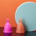 Silicone Ring Menstrual Cup with Loop Stem - Reusable 12 Hour Tampon Alternative - Soft Peach Medium Size - Buy Online on GoSupps.com