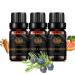 Aromatherapy Grapefruit Essential Oil Set for Diffuser 3X10ml 100% Pure Juniper Berry Essential Oil Kit for Humidifier-Grapefruit Juniper Berry Sandalwood Oil Set Aromatherapy Sandalwood Oil Kit