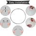 Rnitle Transparent Nail Swatches Sticks - 50 Piece Fan-shaped Board for Nail Polish Display and Practice - Clear Nail Colour Display - Buy Online on GoSupps.com