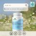 Provita Colon Cleanser: Herbal Detox Regularity Maintenance & Parasite Expulsion Formula (100 Capsules) - Buy Online on GoSupps.com