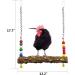 NCTP Handmade Chicken Swing Toy with Natural Wooden Perch Stand for Hens - Perfect for Parrots, Macaws, and Bird Training - Buy Online on GoSupps.com