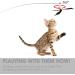 cobee Cat Feather Propeller Wand Toy Cat Feather Toys Replacement Replacement Refill Feather Interactive Cat Chaser Toys Kittens Wand Refills Attachments for Kitten Training Exerciser Accessories - Buy Online on GoSupps.com