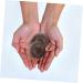 Buy ToddMomy Baoding Balls - Hand Exercise & Meditation Toy for Decompression Fitness & Relaxation - International Shipping Available - Buy Online on GoSupps.com