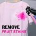 Juice Stain Cleaning Liquid - 200ml Juice Stain Remover Pants Shirts Fruit Spot Cleaning Liquid - Bed Sheet Laundry Cleaning Spot Cleaner for Toilet Home Hotel Antiy - Buy Online on GoSupps.com