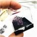 Natural Amethyst Specimen Crystal Stone and Crystal Quartz Crystal Cluster Box Home Desk Decor for dingchi 1sets - Buy Online on GoSupps.com
