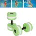 2PCS Aquatic Dumbbell Set Water Aerobics Fitness Equipment for Weight Loss - Green - Buy Online on GoSupps.com