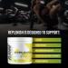 RAW Replenish Box - Premium Electrolytes Powder Recovery Formula | Watermelon Mojito (20 Sticks) - Hydration & Endurance Supplement - Buy Online on GoSupps.com
