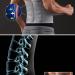 Orthopedic Waist Back Support Belt Trainer - Corset Sweat Brace for Spine Relief | Sizes S-XL - Buy Online on GoSupps.com