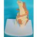 Knee Joint Model for Dogs/Dogs with Strap Animal Joint Skeleton Anatomical for Veterinary Lessons - Buy Online on GoSupps.com