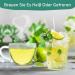 Hand-Picked Green Tea Bags - 100% Pure Himalaya Green Tea Leaves | 25 Count Eco-Friendly Hot & Iced Tea - Buy Online on GoSupps.com