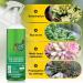 Generic Succulent Plant Bud Fertilizers Organic Succulent Plant Bud Fertilizer for Succulent Planting Accessories - Buy Online on GoSupps.com