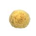 CROLL&DENECKE P190 natural sponge natural 19cm 1 piece (1 pack)