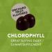 Natures Way Chlorophyll Gummies - Healthy Skin & Body Detox - Orchard Fruit Flavored | 60 Gummies - Buy Online on GoSupps.com
