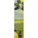 Shop Skin79 Shine Yuja Toner - VITA-C Formula for Radiant Skin | International Shipping Available - Buy Online on GoSupps.com