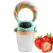 Jingling Fruit Pacifier Feeder - Safe Silicone Teething Tool for Babies | Soft Vegetable & Fruit Food Feeder - Buy Online on GoSupps.com
