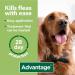Advantage 250 Flea Spot On Treatment For Dogs 1 Pipette 2.5ml 10-25kg - Buy Online on GoSupps.com