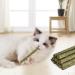 OSDUE 12PCS Cat Catnip Sticks Catnip Toys for Cats Teething Toys Cat Chew Toy Teeth Clean Chewing Grindin for Cat Kitten Kitty Natural Wood Sticks for Cats Play and Relax A-12 PCS Cat Catnip Sticks - Buy Online on GoSupps.com