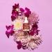 Natural Vibes Anti Aging Nirvana Flower Night Face Oil 20ml | Elixir of Youth with Vitamins A C & E - Shop Now - Buy Online on GoSupps.com