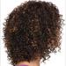 BGHJUE N Wigmix Water Wave Wigs with Bangs - Heat Resistant Synthetic Wigs for African American Women - Buy Online on GoSupps.com