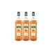 Mathieu Teisseire Peach Syrups for Beverages Lemonades Soft Drinks Tea Cocktails with or without Alcohol 3 Bottles of 1L