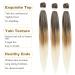 Ancient Lichen-Hair Easy Braid 30 Synthetic Fiber Crochet Extensions - Itch-Free Yaki Texture 6 Pack (1B/27/613) - Buy Online on GoSupps.com