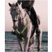 FM2018XSL Horse Harness | LED Breastplate Reflective Belt for Equestrian Safety - Green - Buy Online on GoSupps.com