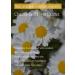 Waterproof Pink Tone Up Sunscreen Natural Tint Long-Lasting Protection with Shea Butter & Chamomile | Zinc Oxide & Titanium Dioxide for Radiant Skin - Buy Online on GoSupps.com
