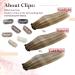 Easyouth Balayage Clip Hair Extensions | Real Hair, 16 Inch, 70g, 5Pcs Double Weft Clip Ins | Brown to Blonde Balayage | Human Hair Extensions | #6/60/6 - Buy Online on GoSupps.com