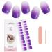 Kalolary Gel Nail Polish Strips Nail Gel Art Sticker Waterproof Full Nail Wraps Decal Sets with Nail File and Stick for Women Girls Nail Art Decor (UV/LED Lamp Required) (Gradient Purple)