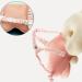 Oreiller de protection de la t te de b b - Coussin de s curit pour enfant doux support de sangle r glable | Coussin absorbant les chocs l ger pour les tout-petits apprenant marcher pro Mimi Bear BB Anti-fall Pillow-Orange Pink - Buy Online on GoSupps.com