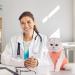 Avont Cat Recovery Suit | Post Surgery Kitten Onesie for Abdominal Wounds - Coral (M) - Buy Online on GoSupps.com