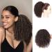 Afro Kinky Wig Curly Clip Ponytail Curly Wave Hair Wigs with Drawstring Hair Extensions for African Kinky (Brown) 25cm 120g 009a - Buy Online on GoSupps.com