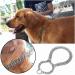 Dog Chain Metal Chain Slip Collar Choker Chain for Dogs Pet Training Walking Choker for Medium Dog Bulldog Rottweiler Training-Silver - Buy Online on GoSupps.com