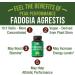 Fadogia Agrestis Ultra High Strength 10:1 Extract - Vegan Capsules for Energy & Athletic Performance | USA Tested Supplement - Buy Online on GoSupps.com