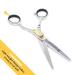 Equinox Professional Razor Edge Hair Cutting Scissors - 6.5 inch | Finger Inserts, Tension Screw, Hand-Sharpened Blades | Stainless Steel Shears with Removable Finger Rest - Pack of 1 - Buy Online on GoSupps.com