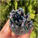 Natural Crystal Rough 1pcs Natural Beauty of Electroplated Crystal Cluster Quartz Stone Flower Crafts - Buy Online on GoSupps.com