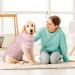 Buy Pumyporeity Recovery Suit for Dogs - Medical Shirt for Post-Surgery Comfort (Pink Stripes XL) | A-ROSA - Buy Online on GoSupps.com