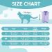 Avont Katzenbody | Post-Op Recovery Suit for Cats | Leak Protection | Lavender S | Ideal for Castration Spay Wound & Skin Disease Care - Buy Online on GoSupps.com