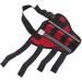 Dog Knee Brace for Cruciate Ligament Injury Joint Pain and Muscle Sore with Better Recovery Adjustable Rear Leg Braces (S) Small - Buy Online on GoSupps.com