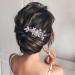 LEEQBCR Bridal Wedding Hair Comb | Crystal Hair Accessories for Women & Girls | Silver Hairpieces - International Shipping Available - Buy Online on GoSupps.com
